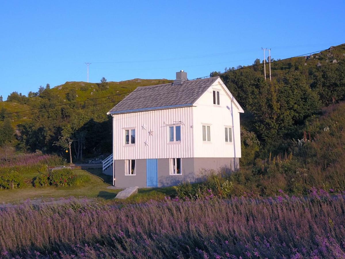 Steinbakk - Vestresand Lofoten Bostad Bagian luar foto