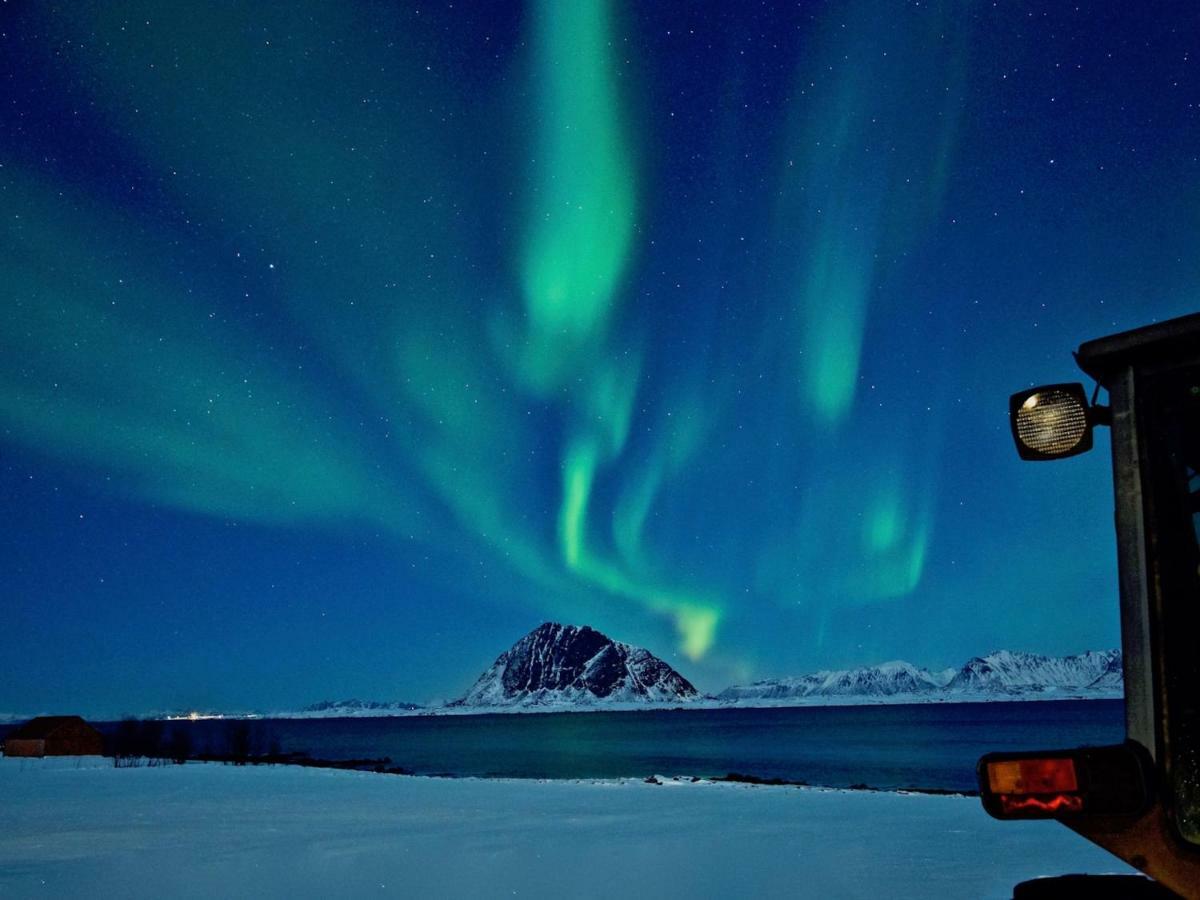 Steinbakk - Vestresand Lofoten Bostad Bagian luar foto