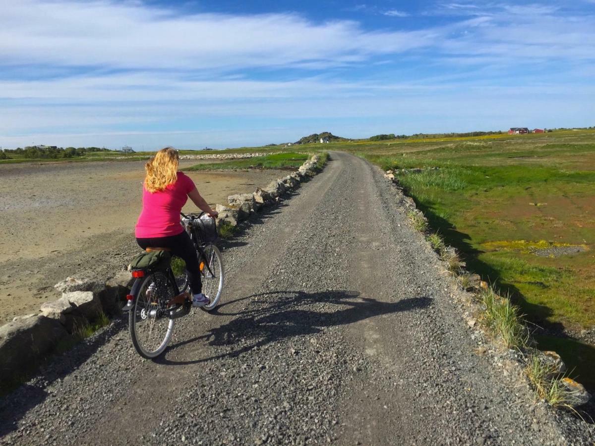 Steinbakk - Vestresand Lofoten Bostad Bagian luar foto